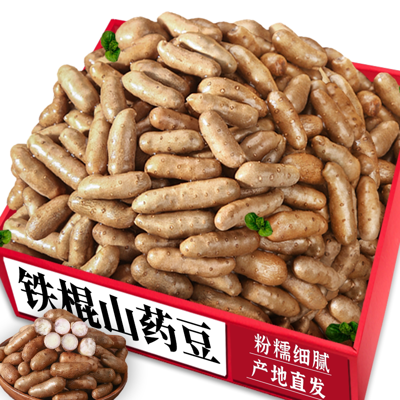 现捡山药豆正宗铁棍山药豆新鲜现摘农家种植新鲜速发河北山药蛋