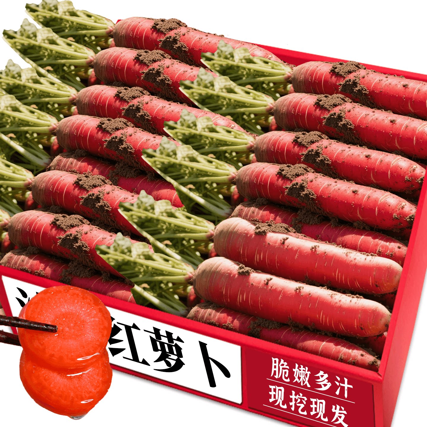 沙地红萝卜！新鲜现挖！脆甜可口