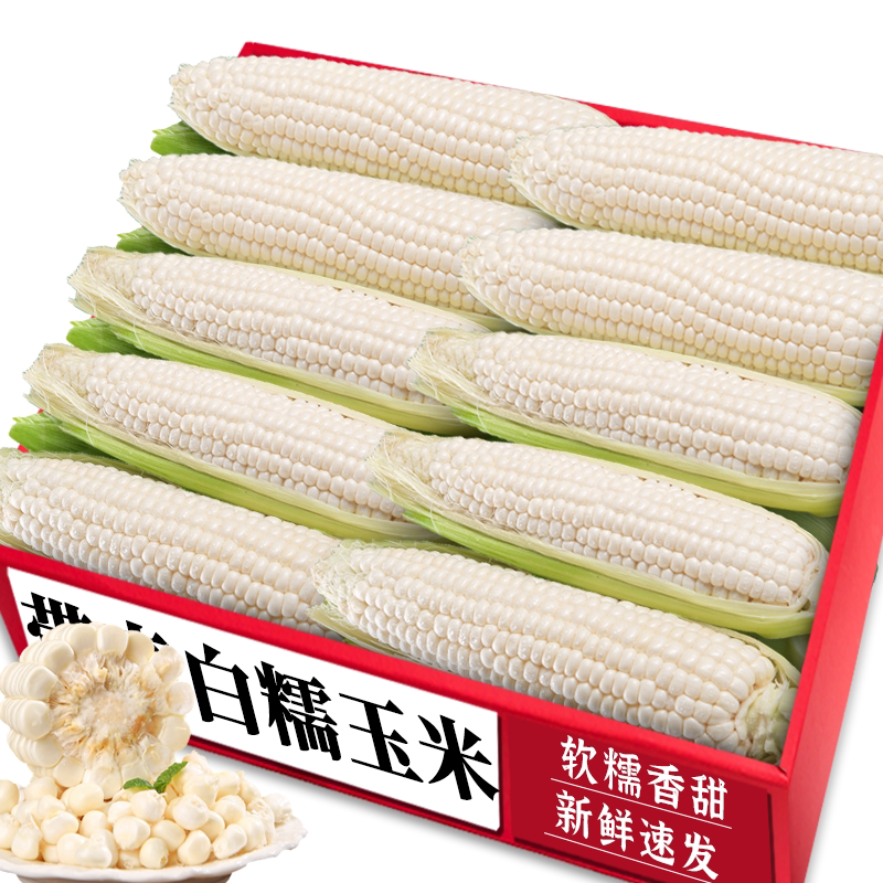 带壳白糯玉米!健康粗粮!力荐!
