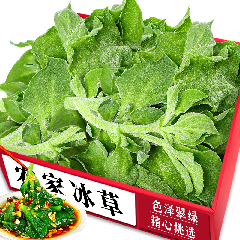 【新鲜冰草】鲜嫩可口|老农现采