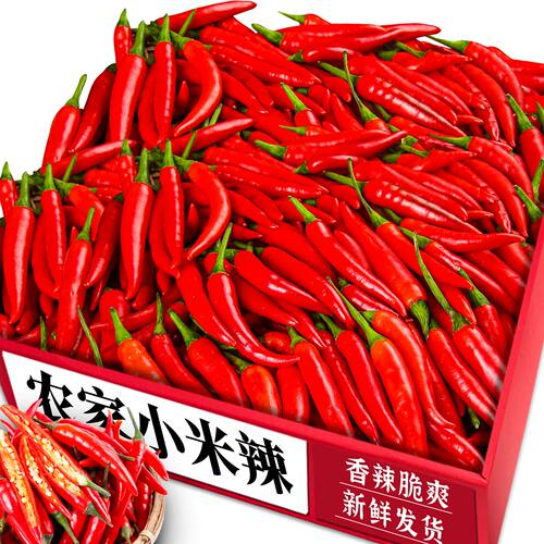 小米椒农家自种！辛辣十足朝天椒
