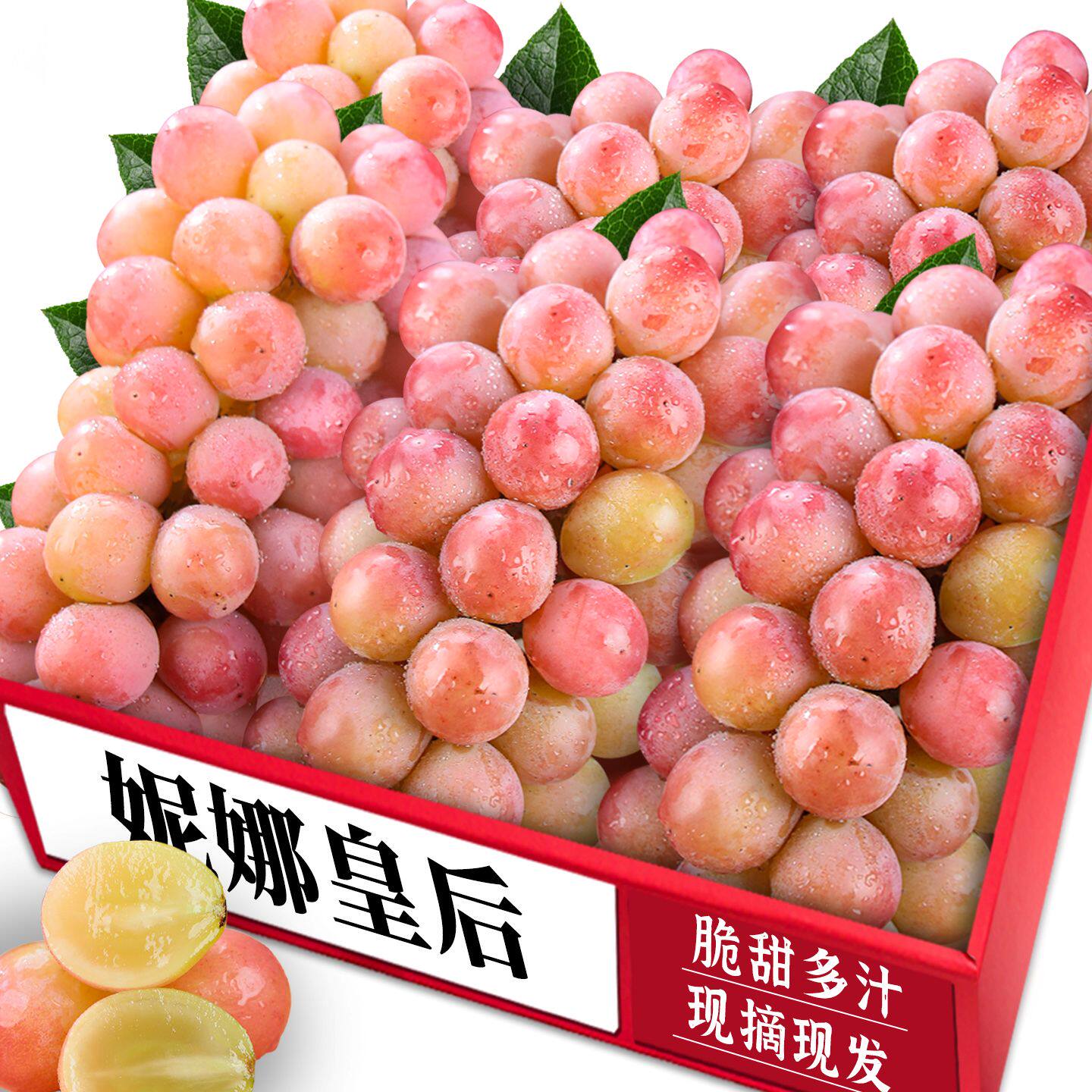 新鲜妮娜皇后葡萄直发顺丰发货