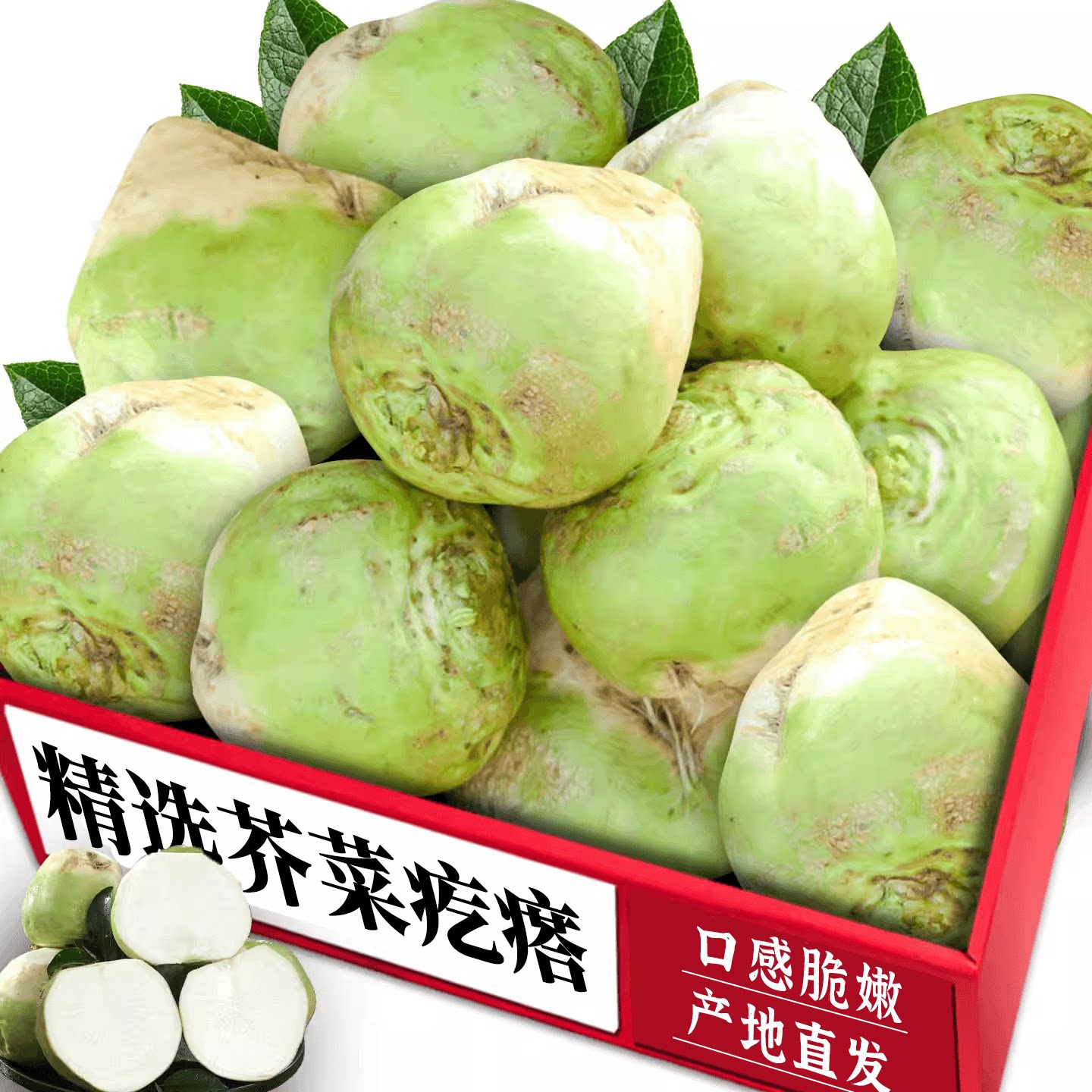 当季新鲜芥菜疙瘩!应季蔬菜直发