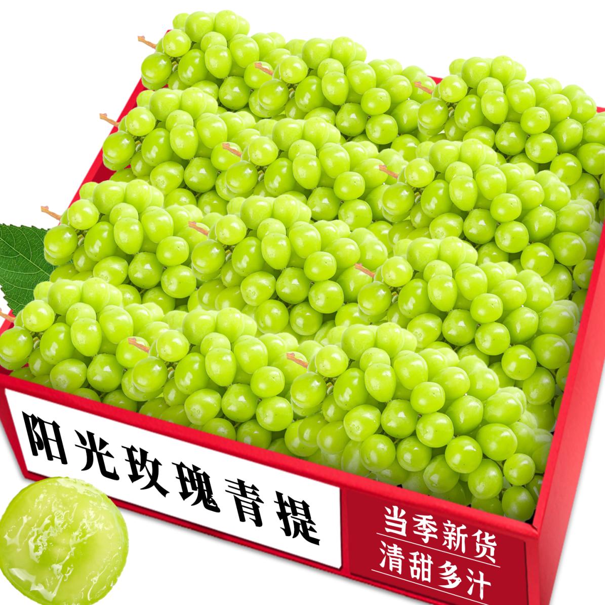 新鲜阳光玫瑰!农家自种产地直发