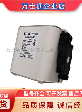 170M5313170M5314170M5315170M5316全新熔断器原装现货量大价优