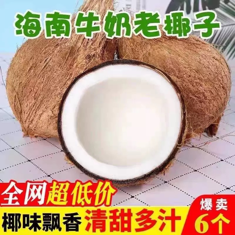 海南老毛椰子新鲜现摘正宗老椰子肉孕妇椰子皇榨汁椰奶清补凉煲汤