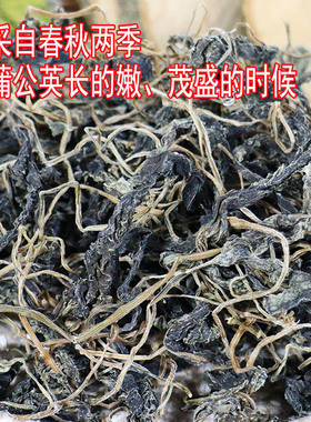 东北特产婆婆丁干蒲公英叶干菜食用无添加农家自晒当年新货酱牛肉