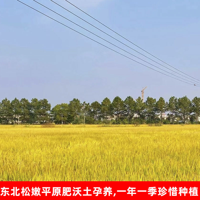 金龙鱼大米5kg稻花香米优质东北大粳米10斤新塑包商用橙色袋包邮