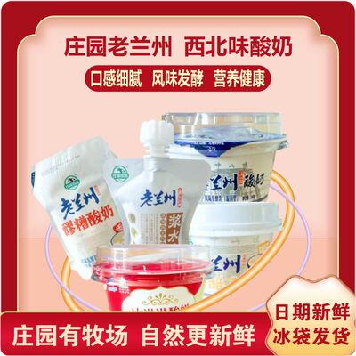 庄园牧场甘肃风味浆水酸奶发酵乳饮品营养早餐酸牛奶