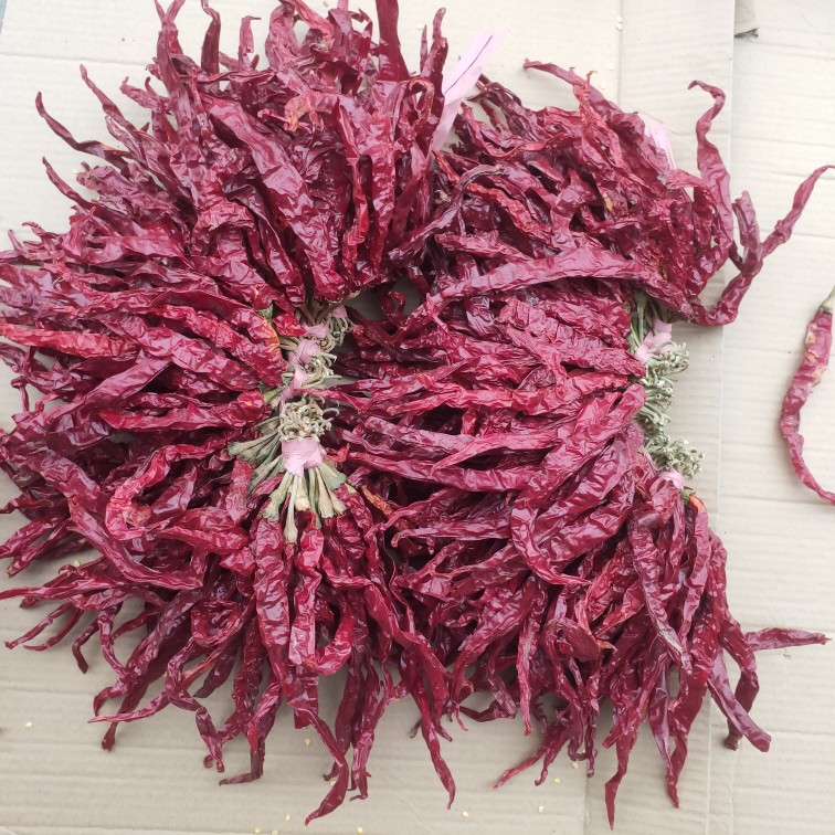 【贵州特产】自然晒干皱皮辣椒长辣椒二荆条红辣椒干辣椒微辣特香