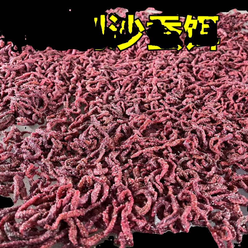 腌制沙蚕饵沙蚕钓饵活沙r蚕腌制饵海钓饵蜜汁沙蚕腌制半干沙蚕钓