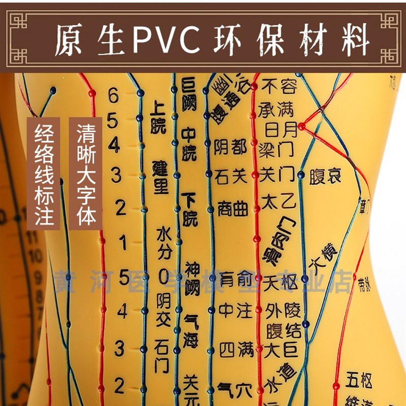 超清人体针灸穴位模型经络 铜人刻字教学K中医学人体模型男女小人