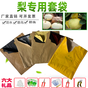 黄金梨专用套袋秋月梨晚秋黄梨丰水梨青雪梨袋子枇杷桃子水果套袋