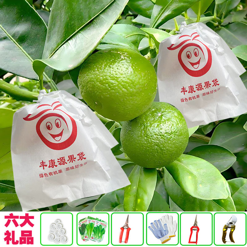 柑橘套袋粑粑柑石榴脐橙枇杷柠檬橙子红美人防水防鸟防虫石榴纸袋,农机/农具/农膜,水果套袋/果袋,淘宝优惠券,粉丝福利购,淘宝优惠卷