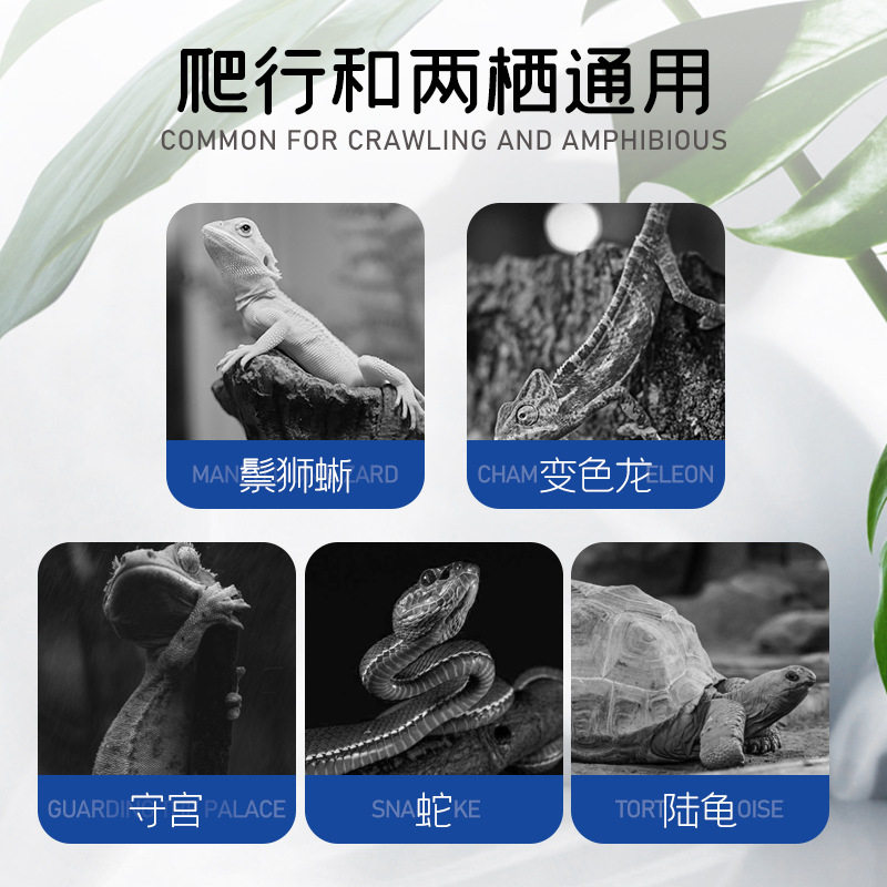 爬虫D3钙粉维生素爬宠陆龟鬃狮z蜥蜴变色龙守宫补钙BAC综合营养粉