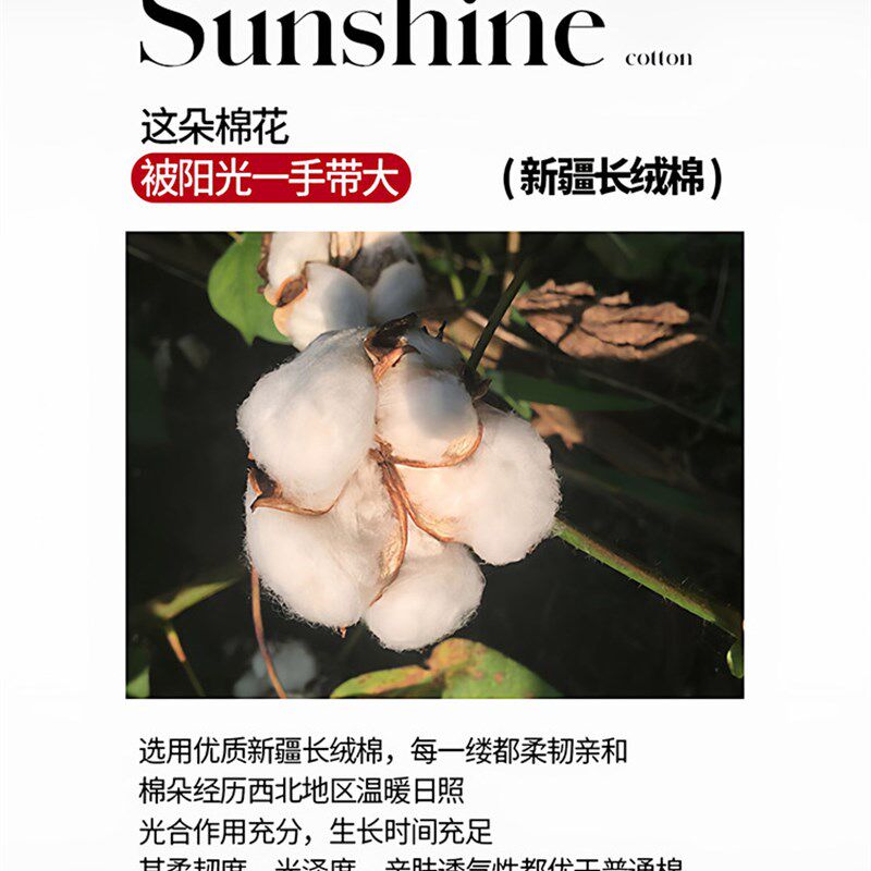 国梦高端100S长绒棉全棉红色喜被结婚四M件套床上用品床单被套4