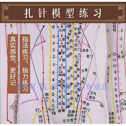 穴位模型人针灸穴位人体模t型可扎针全身中医人模经络用教学铜小