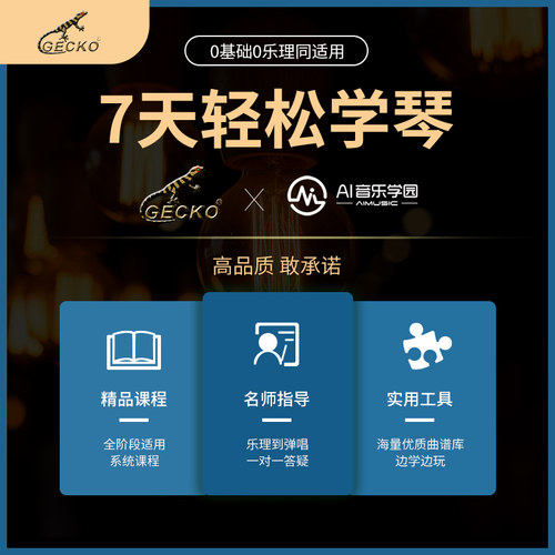 壁虎卡林巴箱式21音拇指琴17A音女生儿童礼物初学者乐器易学手指