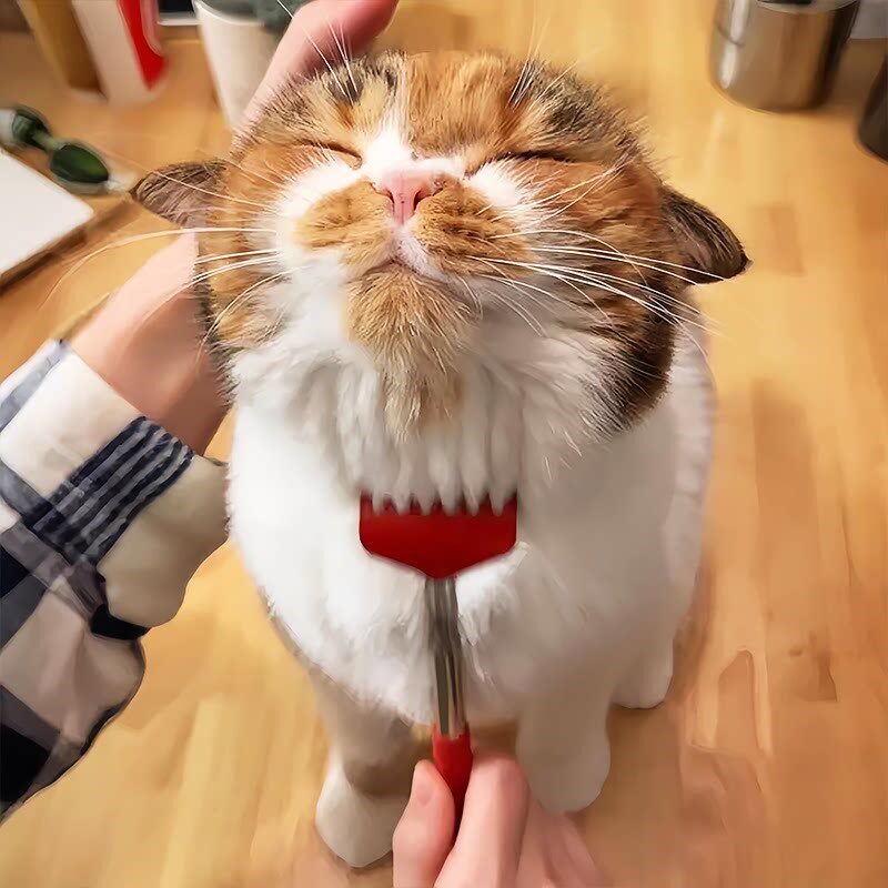 猫咪狗狗痒痒挠梳子撸猫神器互动解闷抓痒逗猫棒玩V具按摩宠物用