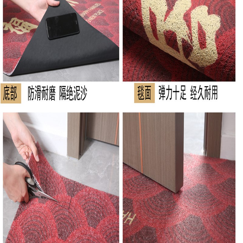 免洗入户门地垫平安丝圈地毯家用进门门口门外R门垫进户门除尘脚