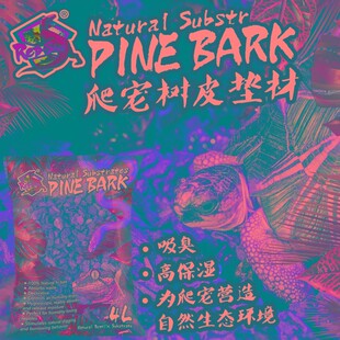 爬宠垫材爬虫树皮陆龟蜥蜴蛇变色龙E饲养箱天然造景森林地表保湿