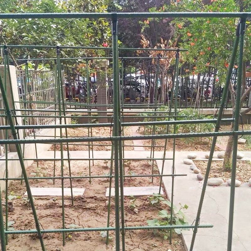 户外庭院楼顶葡萄铁艺支撑杆 田园爬藤支架L 黄瓜百香果豆角攀爬