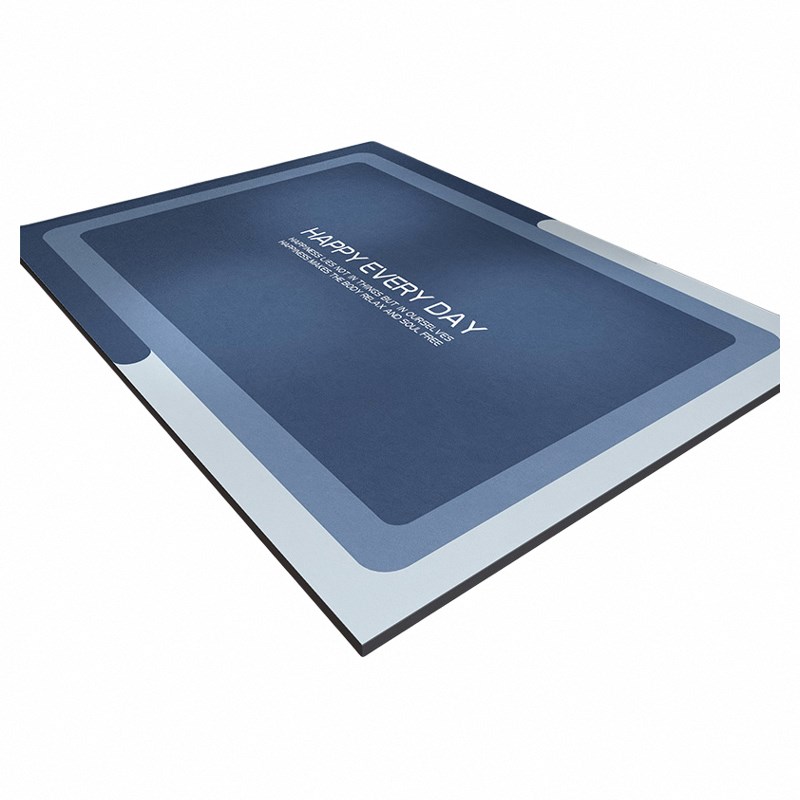 软硅藻泥入户门地垫防滑耐脏吸水门口地垫进门脚垫V家用地毯可裁