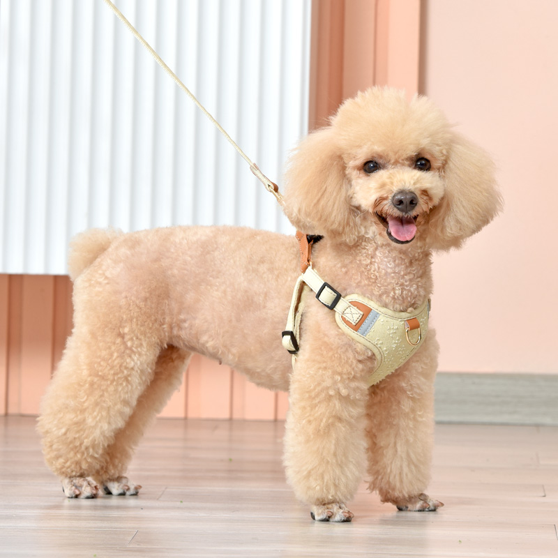 狗狗牵引绳背心式幼犬小型犬胸背带泰迪比熊N博美遛狗绳狗链子牛