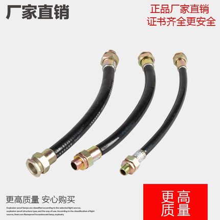 防爆挠性连接管防i爆管BNG-DN15/20/25金属防爆管不锈钢软管4分6