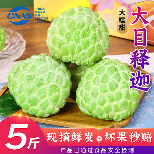 5斤大目释迦果新鲜水果【顺丰速发】番荔枝林檎果摩尼果佛头果