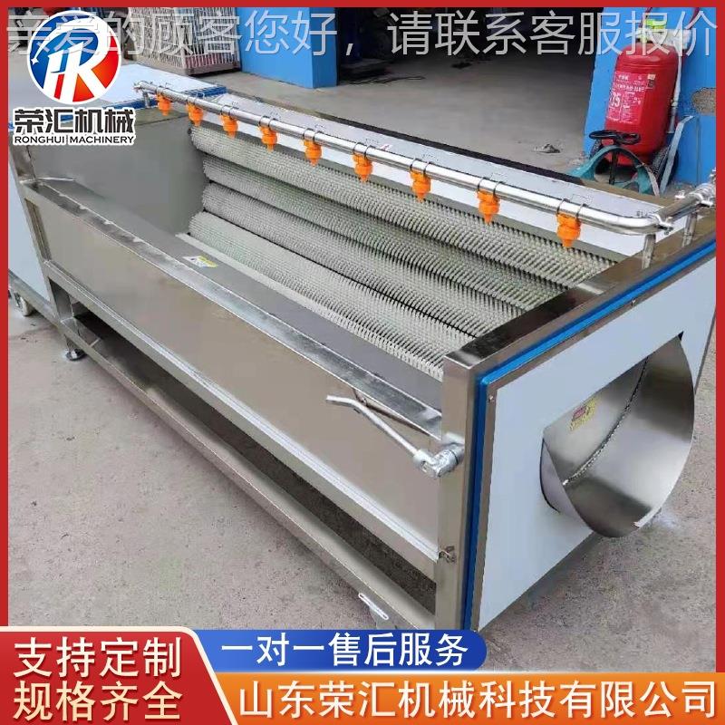 清豆土商用JXP毛刷清洗机 海参田螺毛辊清洗器机 黄精洗去泥设备