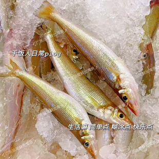 新鲜南海沙丁鱼冷冻沙尖鱼真空速冻冰鲜沙钻鱼广东海鲜水产