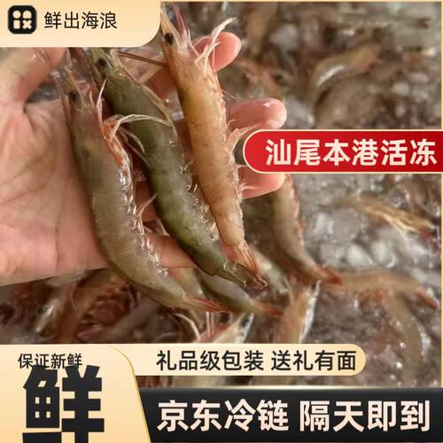 广东汕尾活冻红爪卢虾红尾虾