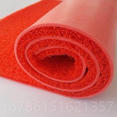 高档水地垫入户门垫室外脚红地毯塑料丝圈垫防门防口垫进门商用垫,居家布艺,地毯,淘宝优惠券,粉丝福利购,淘宝优惠卷