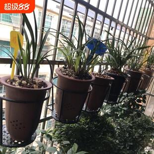 兰花专用花架欧式阳台金属栏杆花盆架挂式护栏绿萝悬挂九尾狐加高