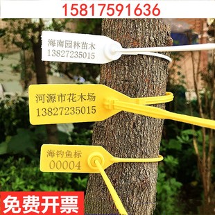 一次性定制园林园艺苗木封签号树加长塑料封条大树标签记号锁扣牌