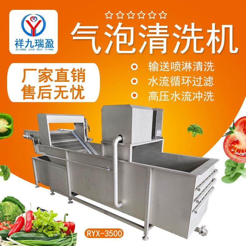 商用蔬菜清洗机叶菜瓜果气泡洗菜机大型青菜气泡清洗机果蔬清洗机