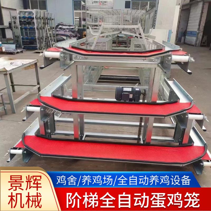 全自动阶梯蛋鸡笼A字型阶梯式组装笼厂家全自动清粪捡蛋蛋鸡笼