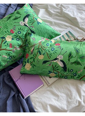 shamelessbaby for baby!儿童/婴儿卡通枕套30*50双面真丝枕套