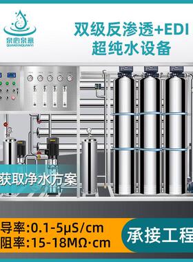 双级反渗透设备水处理净水设备大流量商用净水器RO二级EDI超纯水