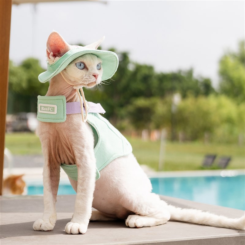 夏威夷风胸背带牵引绳任发财无毛猫衣服O德文衣服斯芬克斯猫