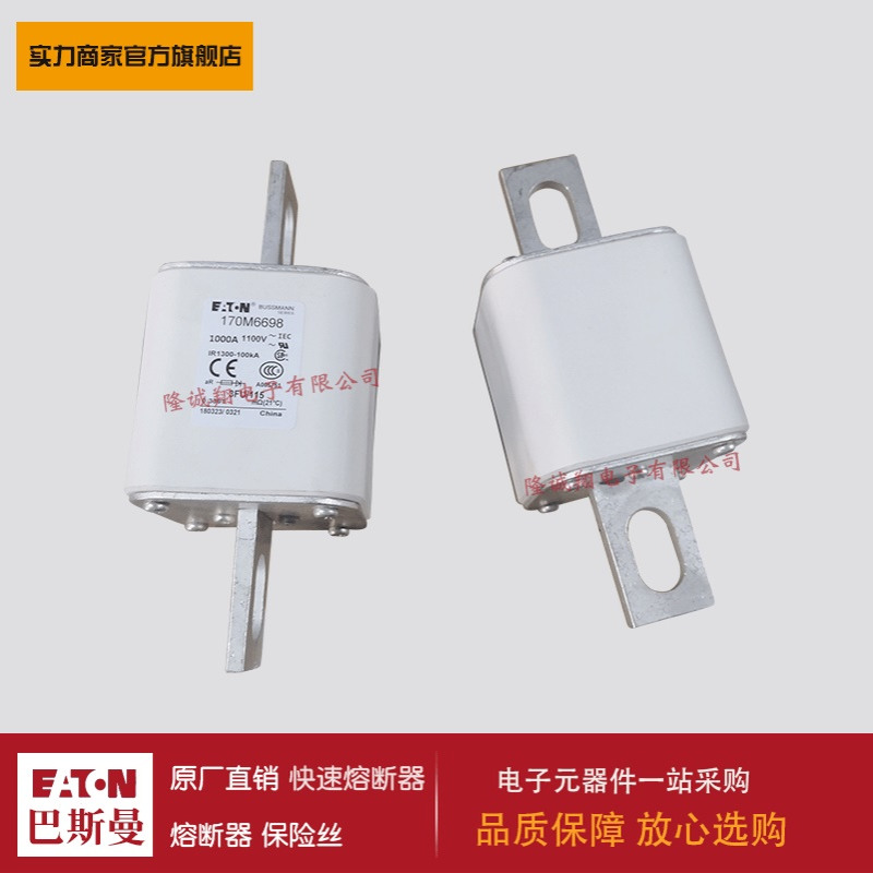 熔断器170M6697 170M6698 170M6699 170M6700 170M6701 170M3738