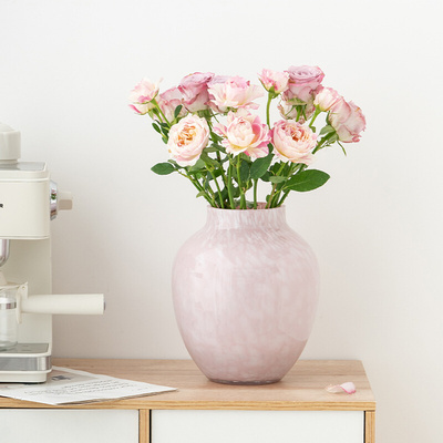 创意大肚玻璃花瓶摆件客厅插花轻奢高级感水培鲜花玄关餐桌装饰品