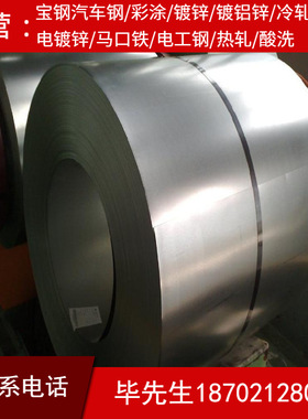 VW50111-St04ZF100RB-T-O批发零售汽车钢