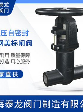 PZ11H-2500LB中泰龙锻钢自密封闸阀内螺纹丝口磅级蒸汽用SW.NPT阀