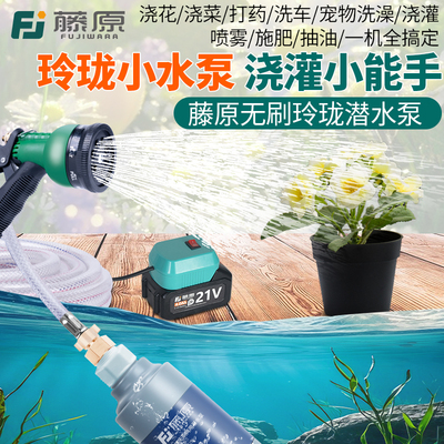 多功能浇菜浇花神器无刷可接电瓶