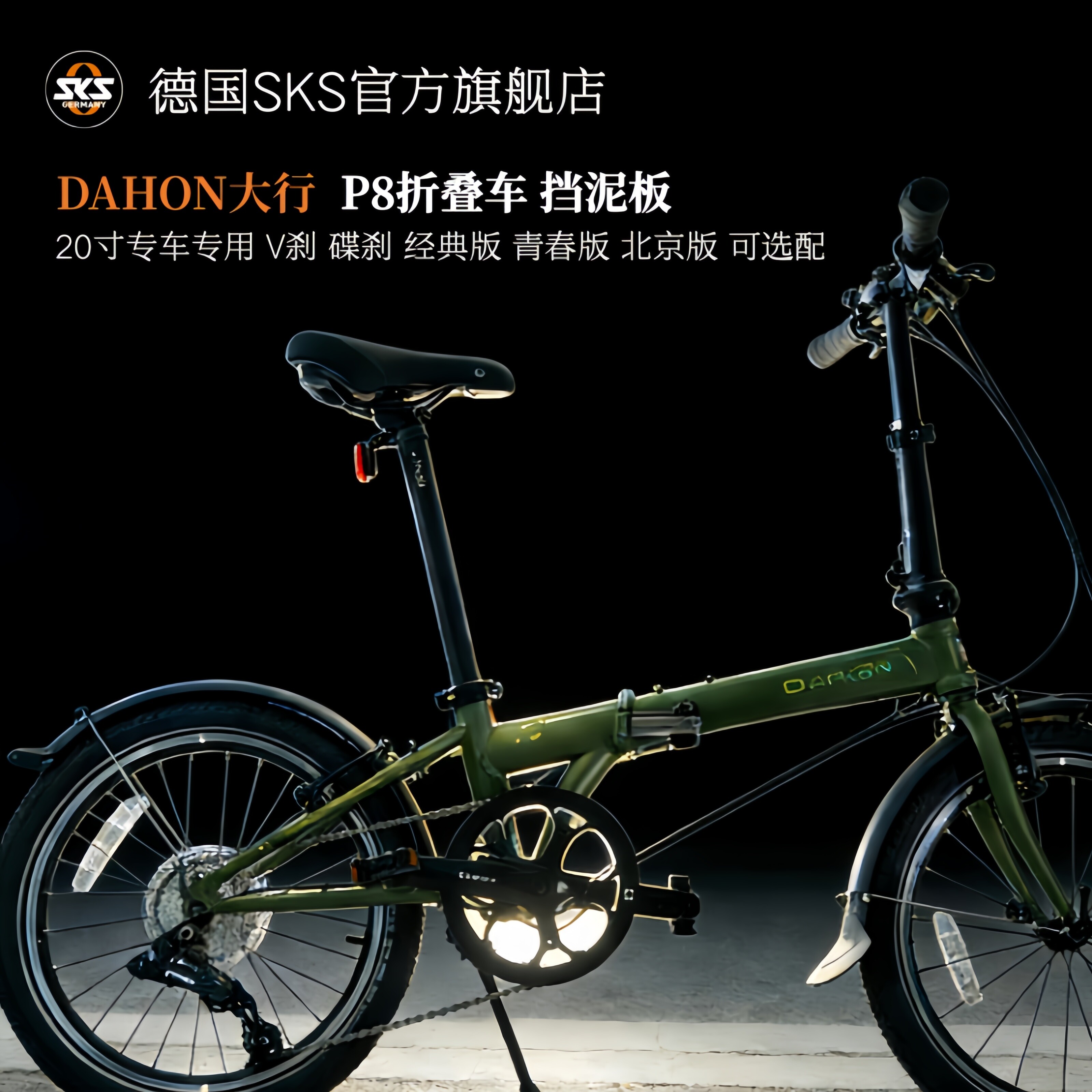 大行P8挡泥板德国SKS进口专车专用20寸折叠车单车挡板泥瓦泥除