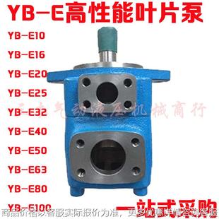 125 高性能叶片泵 100