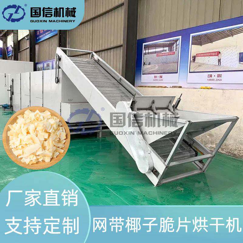 海南椰子肉泰国椰丝烘干机连续椰蓉烘干设备网带椰子脆片烘干机