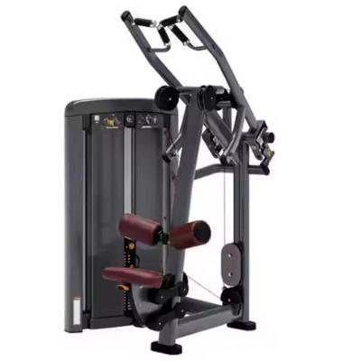 独立高拉gorilleindépendant(électronique)